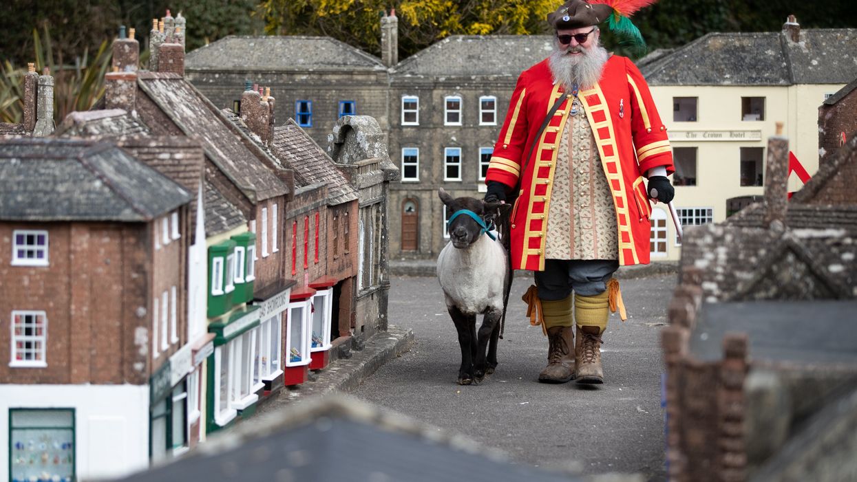 Chris Brown, the Town Crier and Mayor’s Serjant of Wimborne Minster, in Dorset, exercises his right as an Honorary Freeman to drive sheep through Wimborne without charge, albeit through the Wimborne Model Town