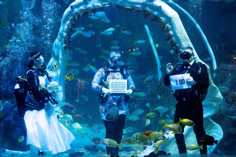 Christopher Jackson signals \u2018I do\u2019 to bride Lisa Huggins (Jacob King/PA)