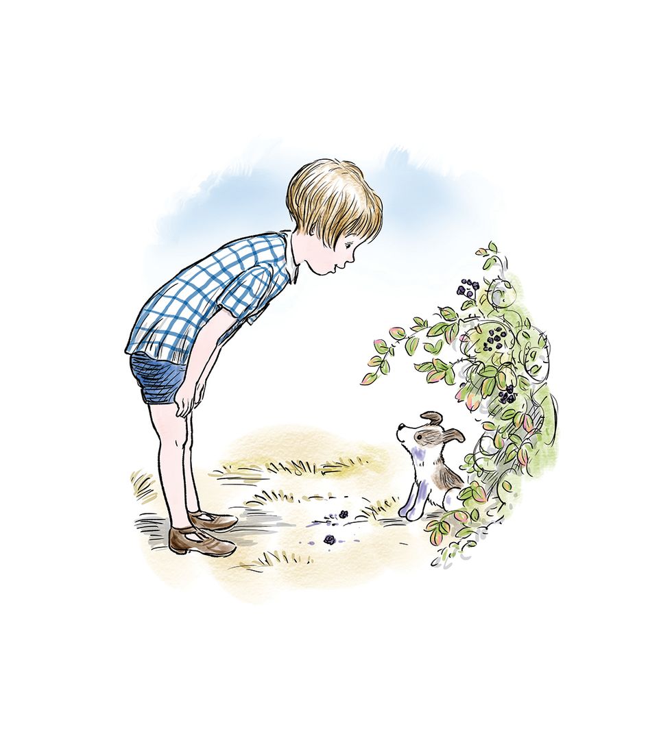 Dog named Carmen is latest to join Winnie the Pooh in the Hundred Acre Wood
