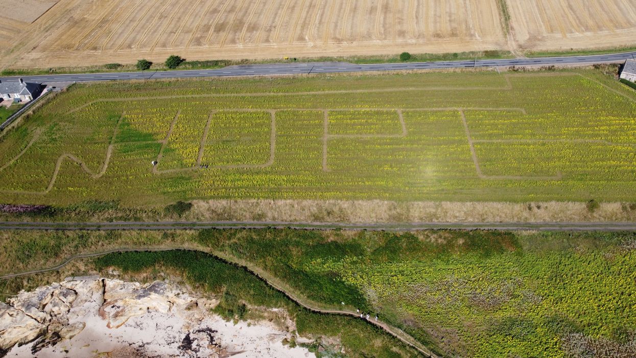 Claire Pollock of Ardross Farm in Fife carved the word ‘hope’ into her field (Church of Scotland/PA)