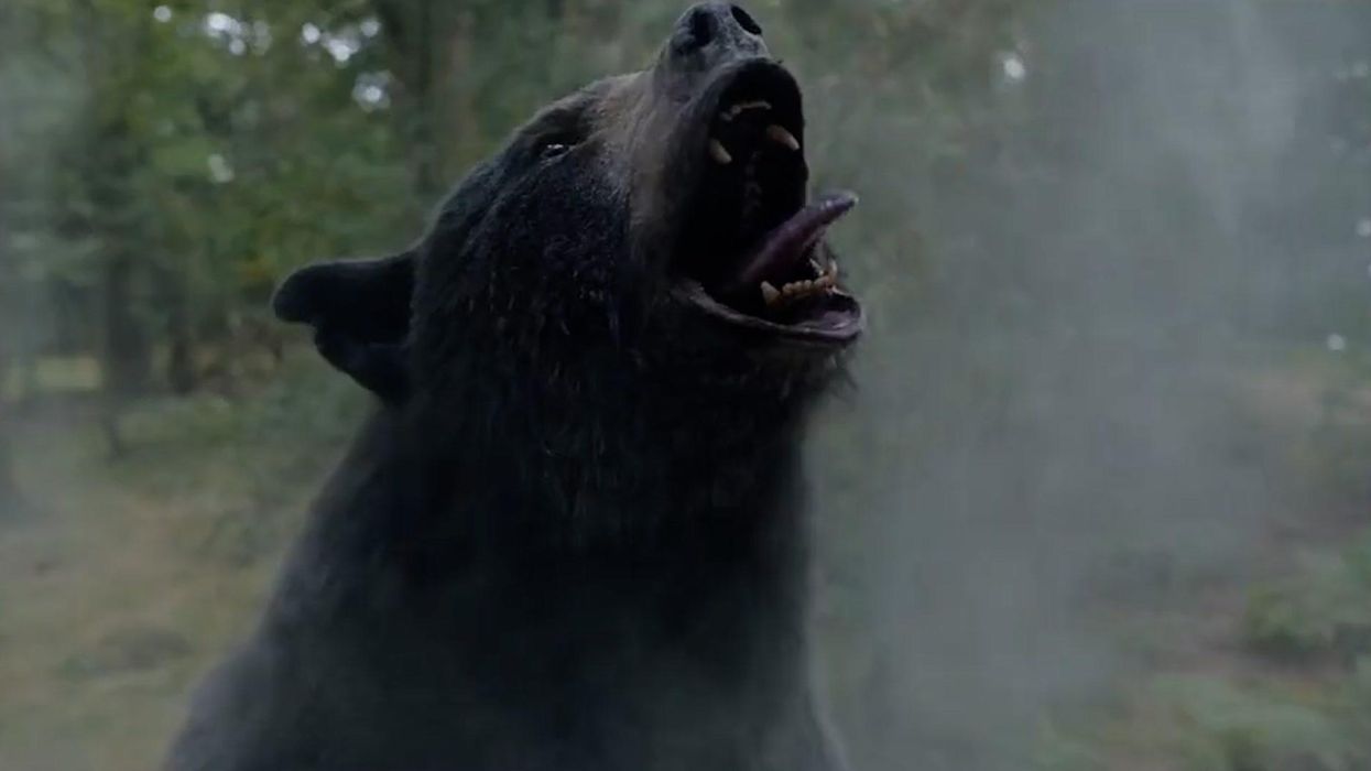Is Cocaine Bear a real story?