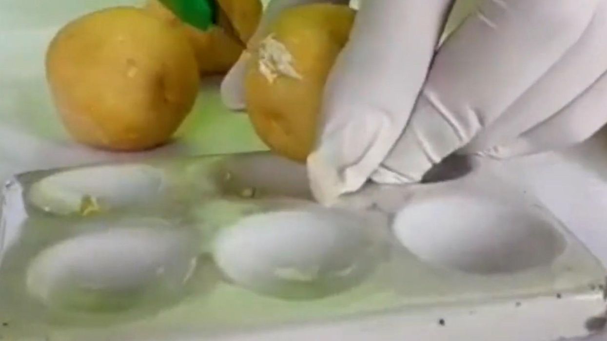 The humble banana is now the drug trafficker's tool of choice