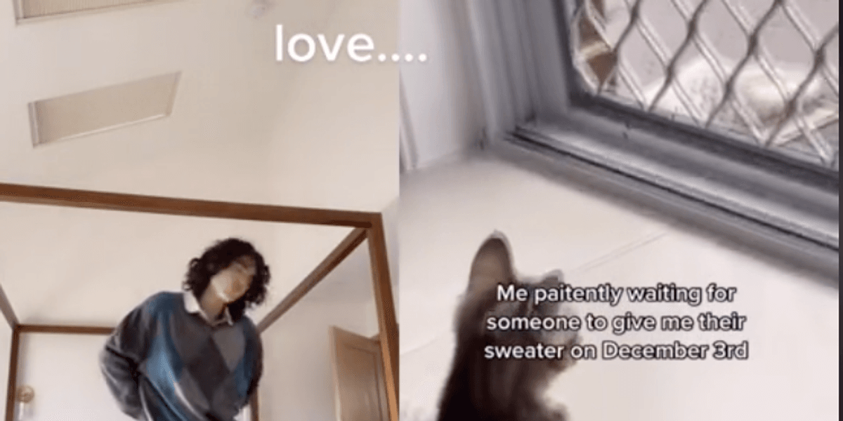 Why Is December 3rd Going Viral On TikTok Indy100 Why Is December 3rd Going Viral On TikTok Indy100