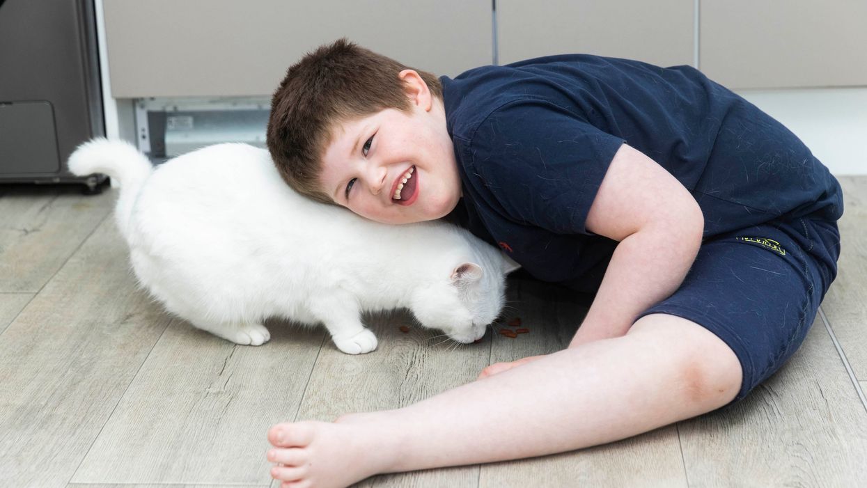 Connor Raven, aged six, and his cat Minty (Fabio De Paola/Cats Protection)