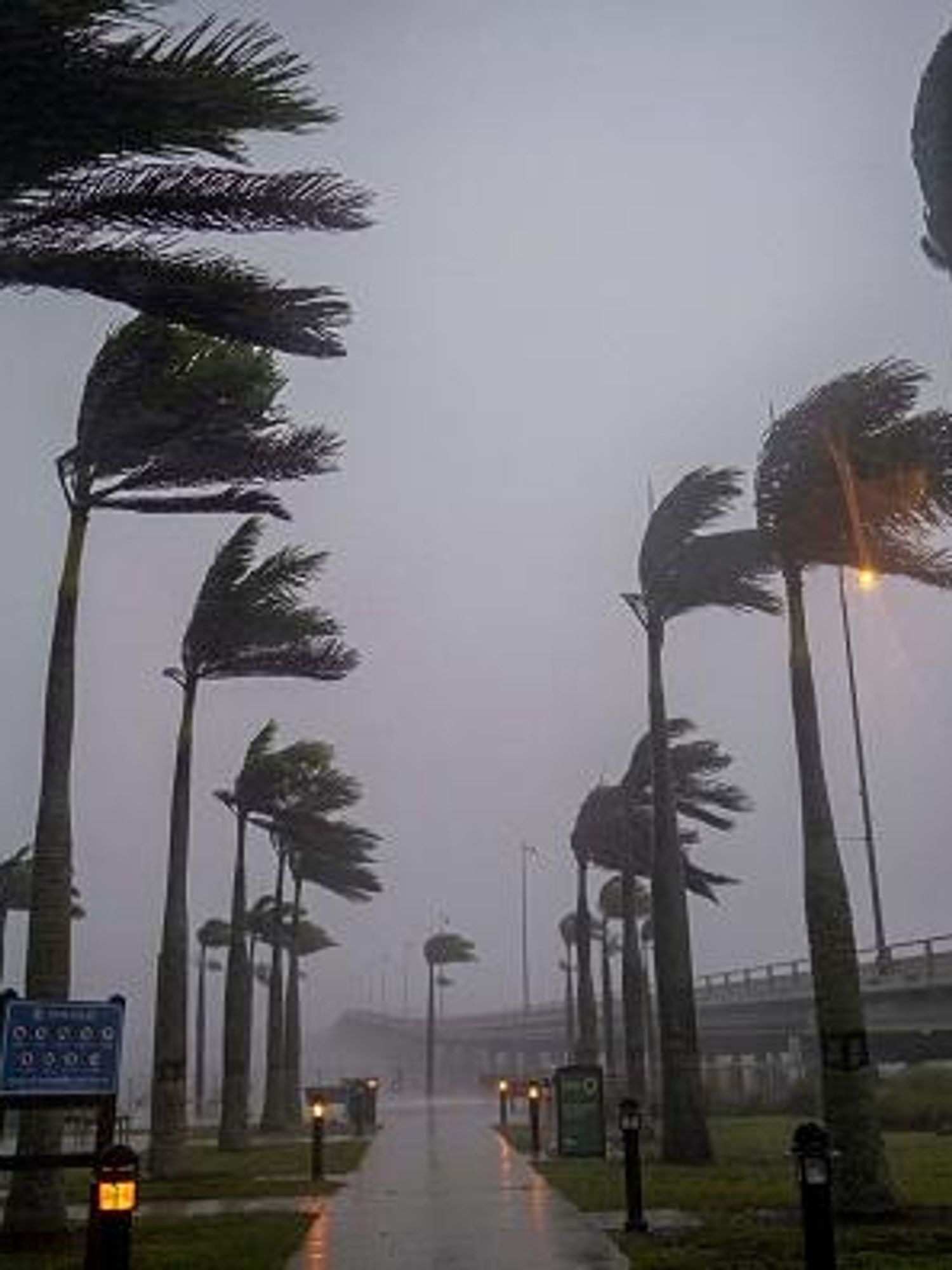 Some people seem to think Hurricane Ian is a conspiracy theory