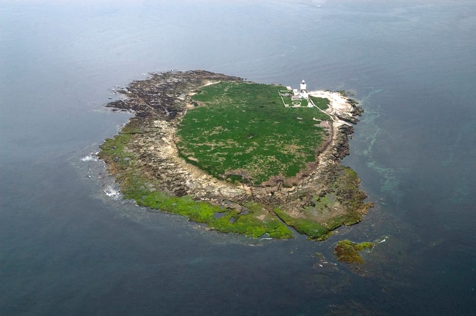 Coquet Island