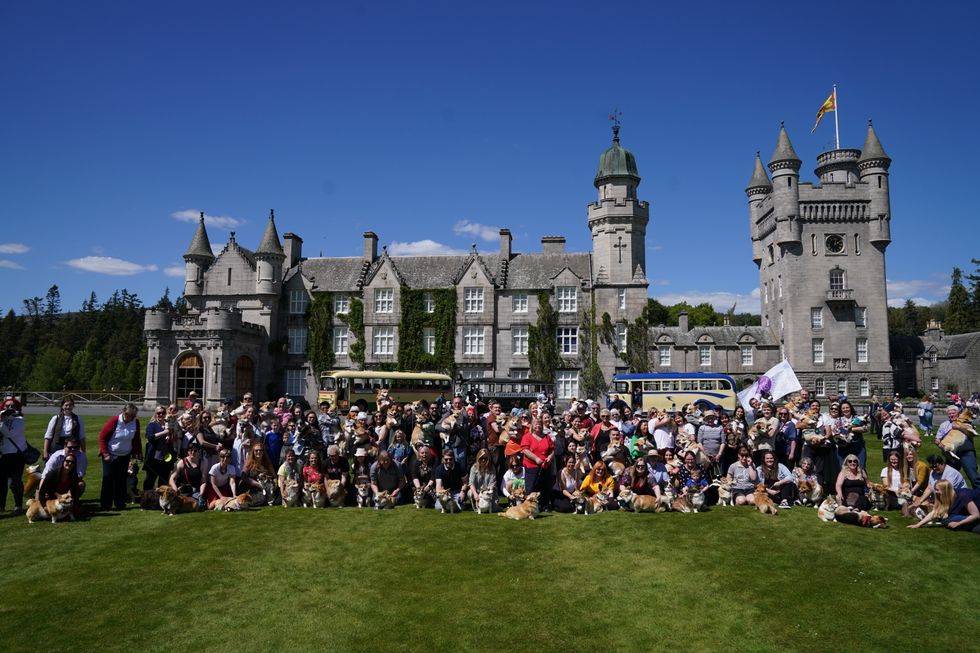 More than 70 corgis gather at Balmoral for Queen’s Platinum Jubilee