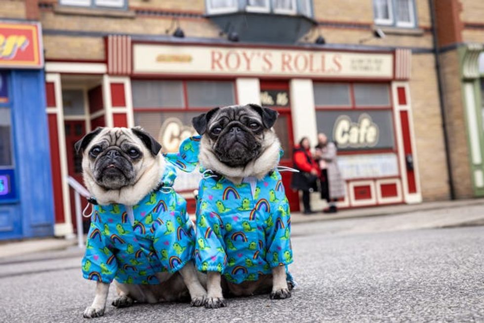 Coronation Street\u2019s \u2018Canineration Street\u2019