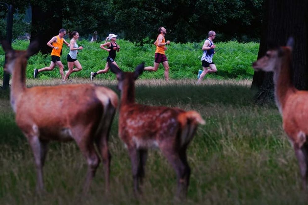 Coronavirus \u2013 Sat Jul 24, 2021