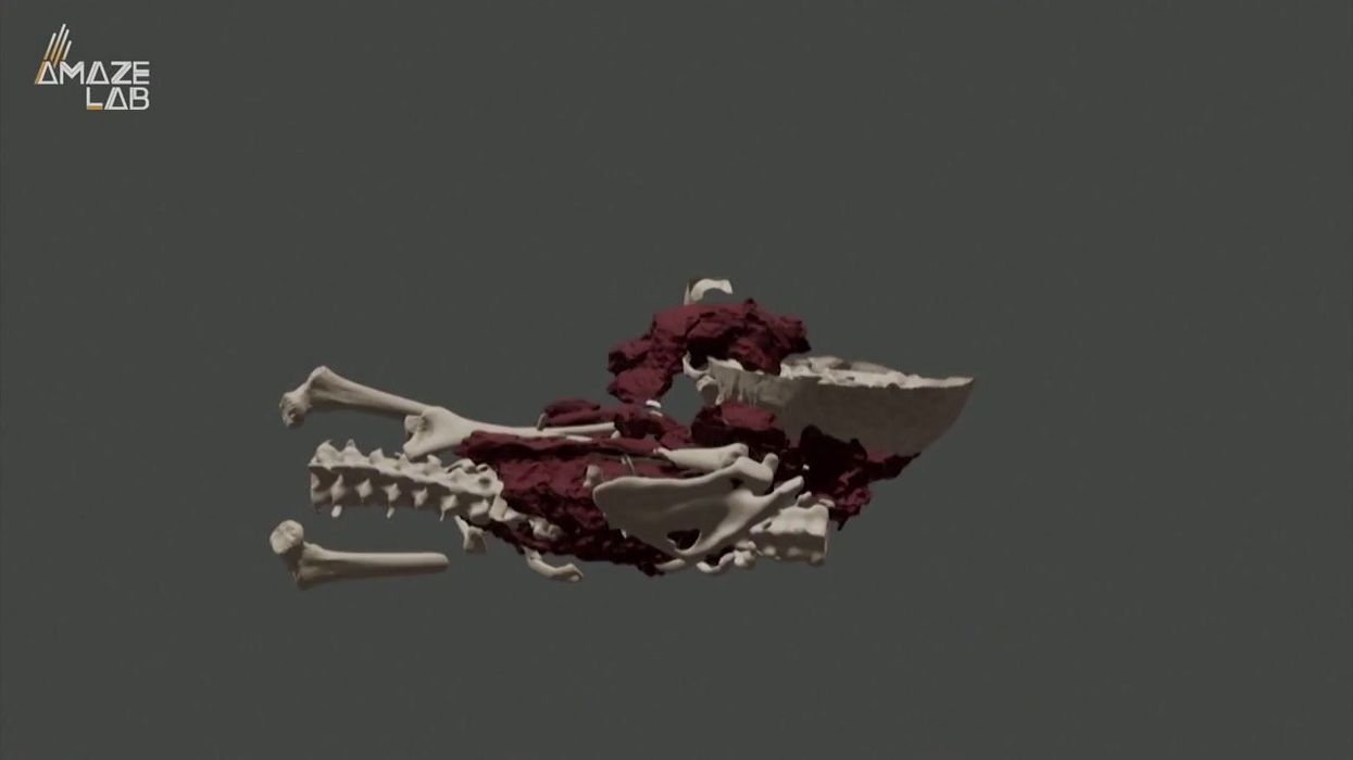 The world's oldest burial site wasn't created by our species