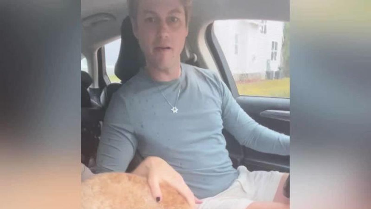 Woman thought dog was unruly – but later discovered he only understood Spanish