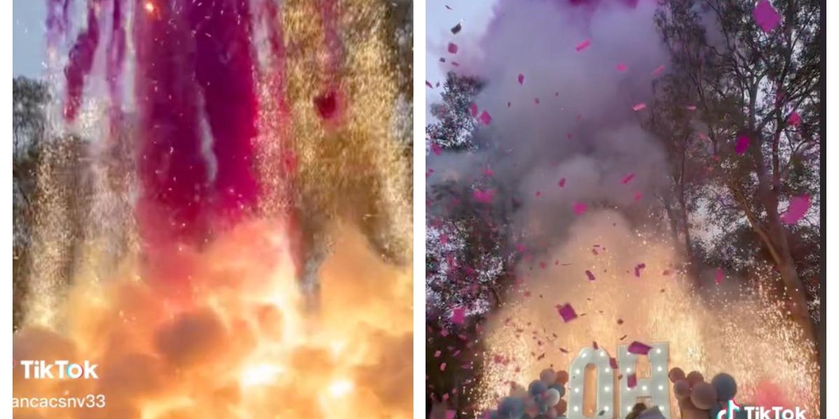 Couple's gender reveal slammed for 'forest fire aesthetic'