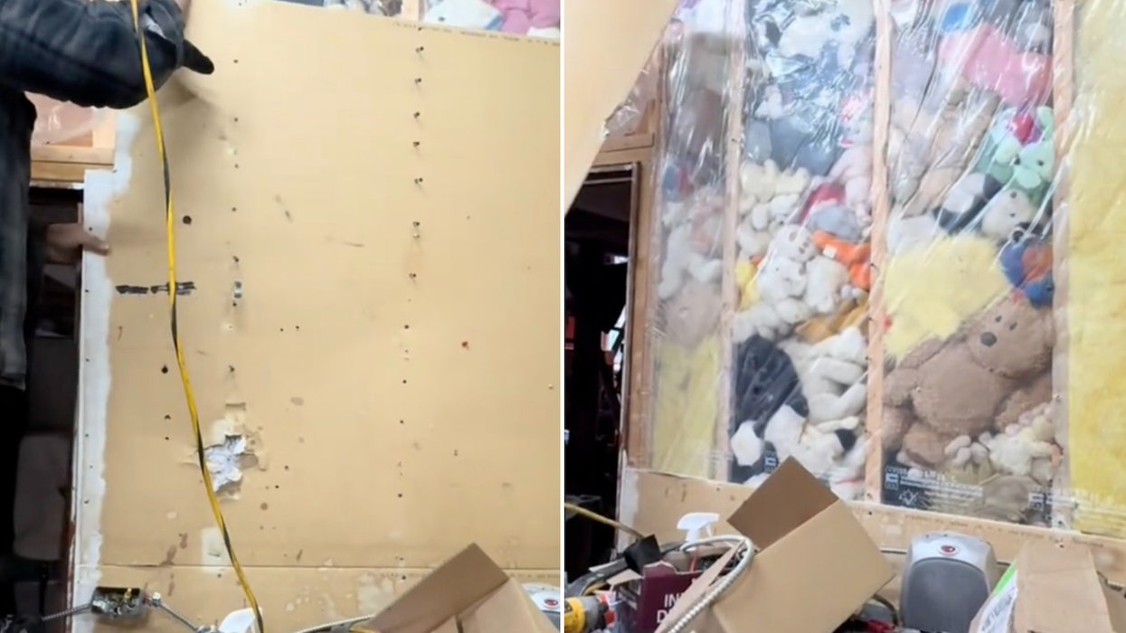 Couple find walls filled with stuffed animals in bizarre discovery