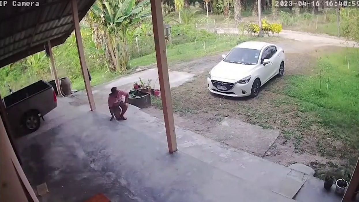 Pensioner killed by flying cow that was hit by a train