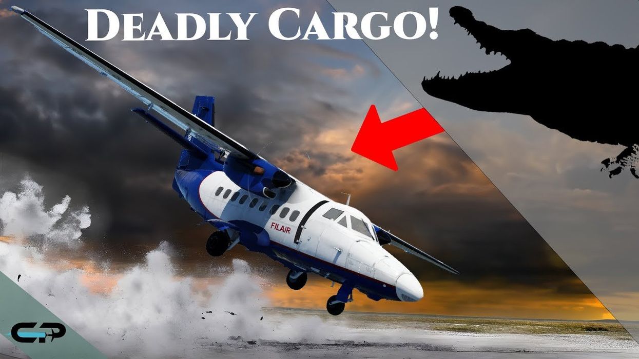 How an escaped crocodile led 20 people to die in a plane crash