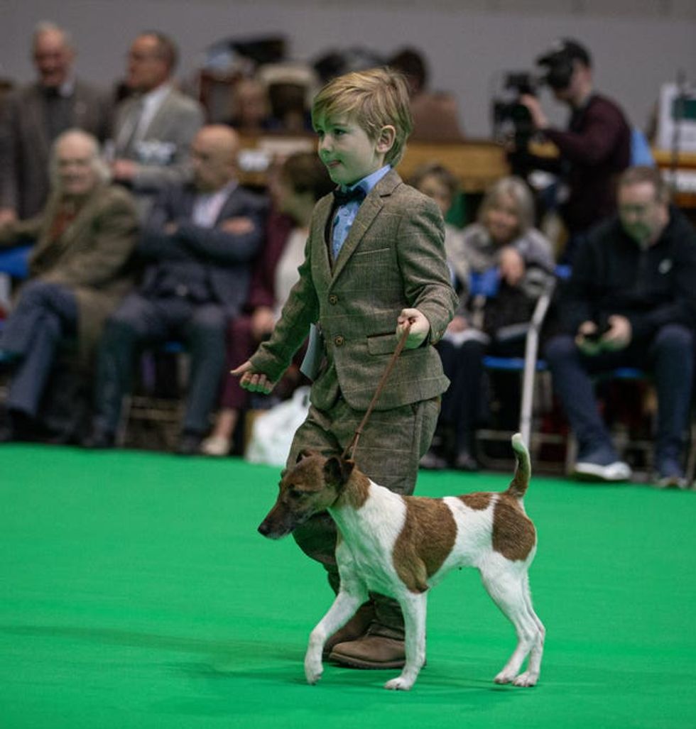 Crufts Dog Show 2025 \u2013 Day One