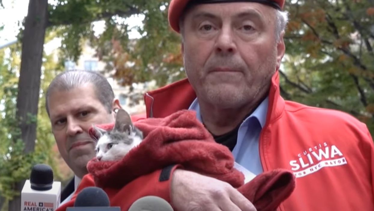 <p>Curtis Sliwa pictured with one of his many rescue cats on Tuesday</p>