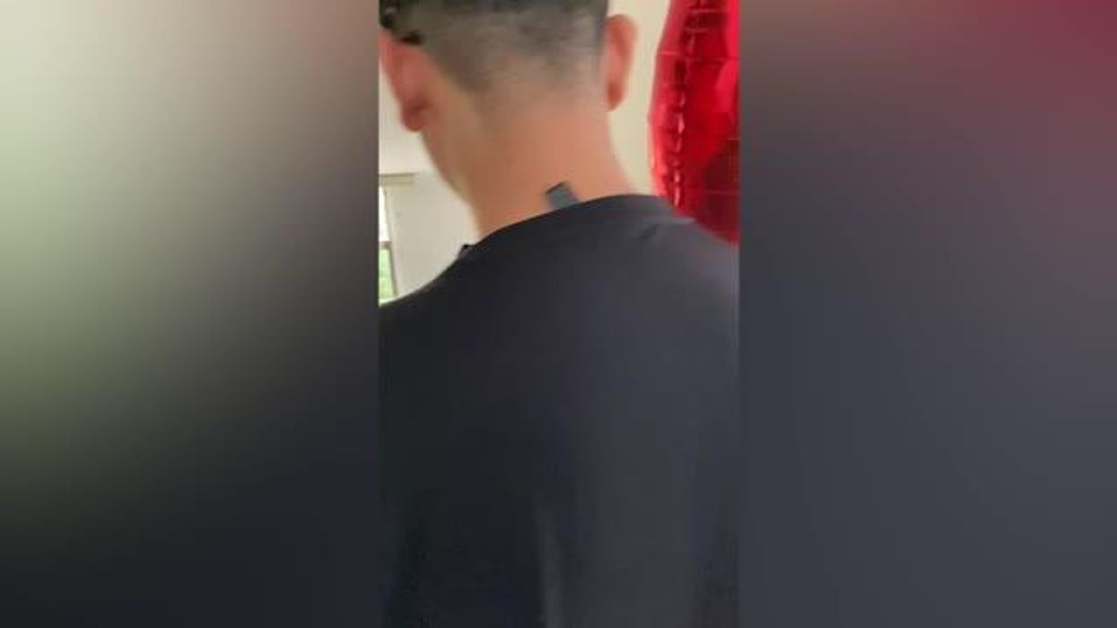 TikTok's Noodle the Pug has died aged 14