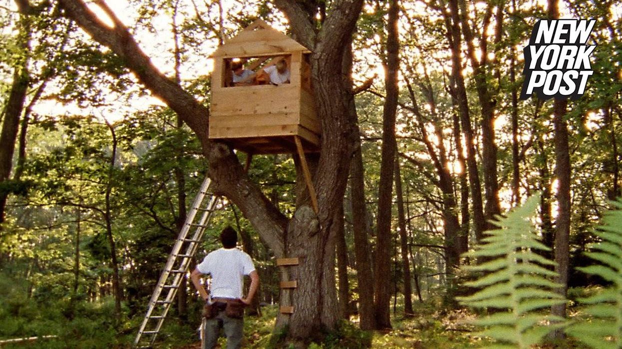 3-year-old girl defends her aunt against furious neighbour complaining about parking