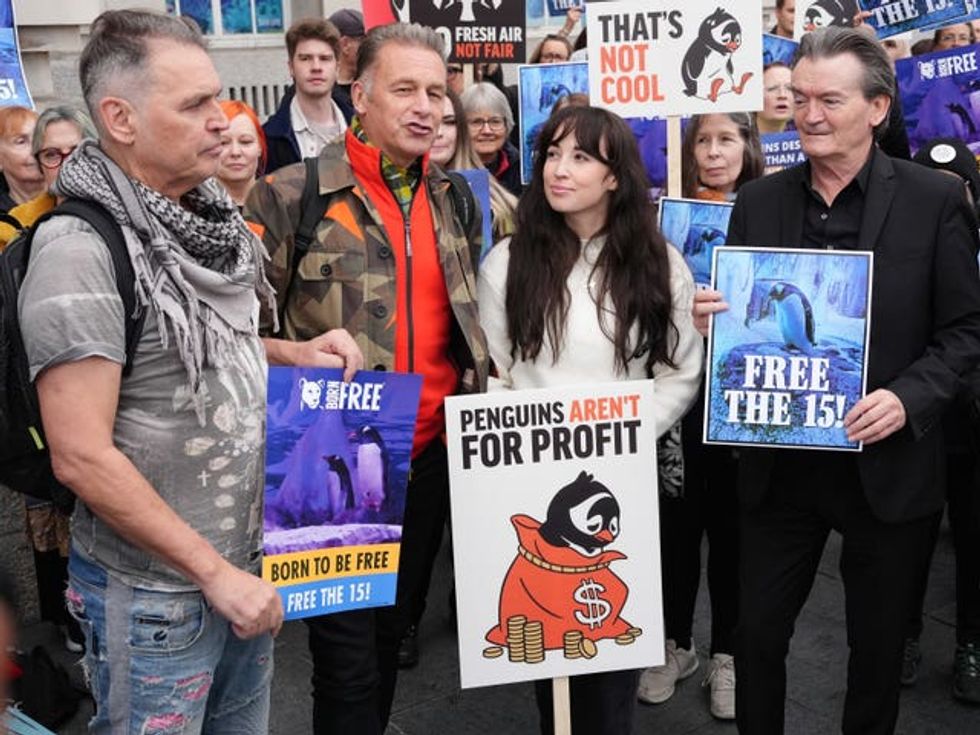 Dale Vince, Chris Packham, Megan McCubbin and Feargal Sharkey at a protest for the penguins