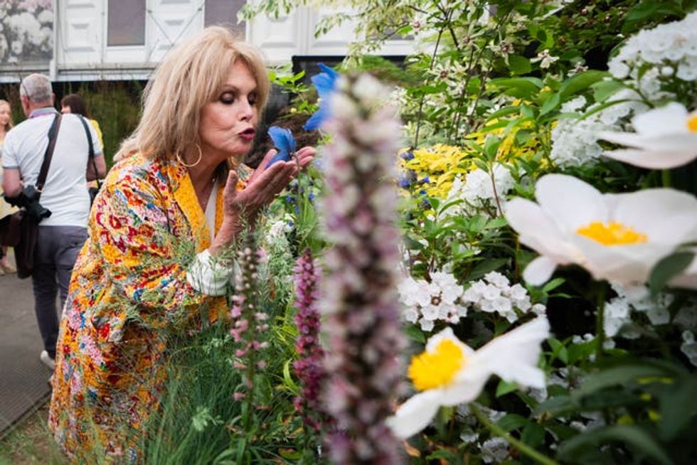 Dame Joanna Lumley sniffs a flower at the garden show