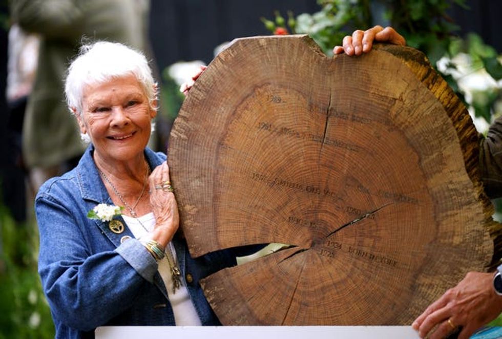 Dame Judi Dench displays a timber round with key dates from her life and career carved into it at the Gaze Burvill trade stand, after launching the new Woodland Heritage campaign during the RHS Chelsea Flower Show press day at the Royal Hospital Chelsea, London