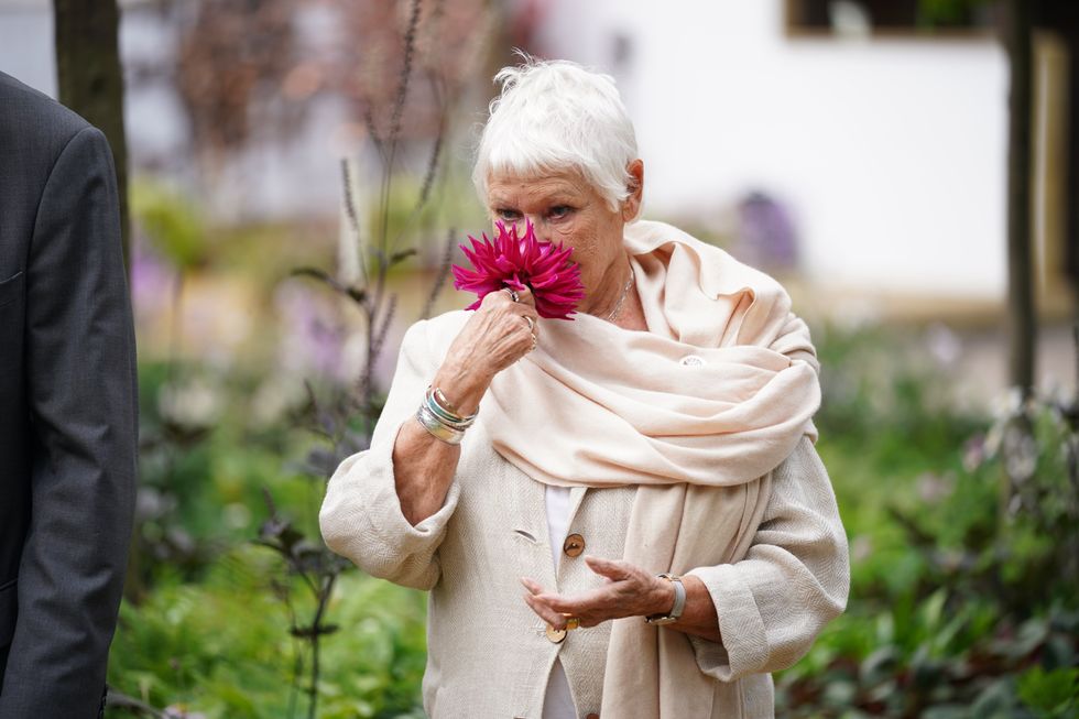 Dame Judi Dench sniffs a bloom at the Royal Hospital Chelsea during the event\u2019s press launch (Yui Mok/PA)