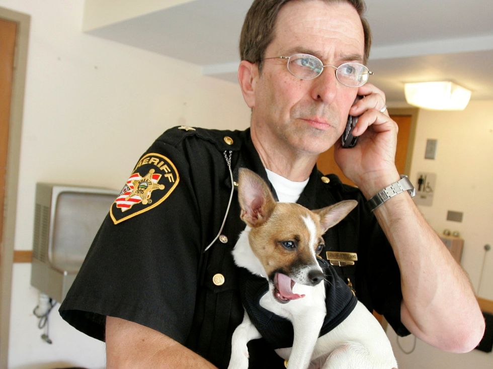 <p>Dan McClelland, 67, with his beloved chihuahua-rat terrier cross Midge</p>