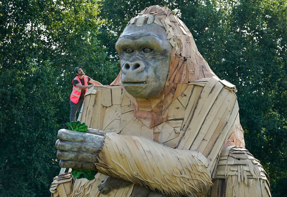 Four-tonne interactive gorilla sculpture wows onlookers at Bristol zoo