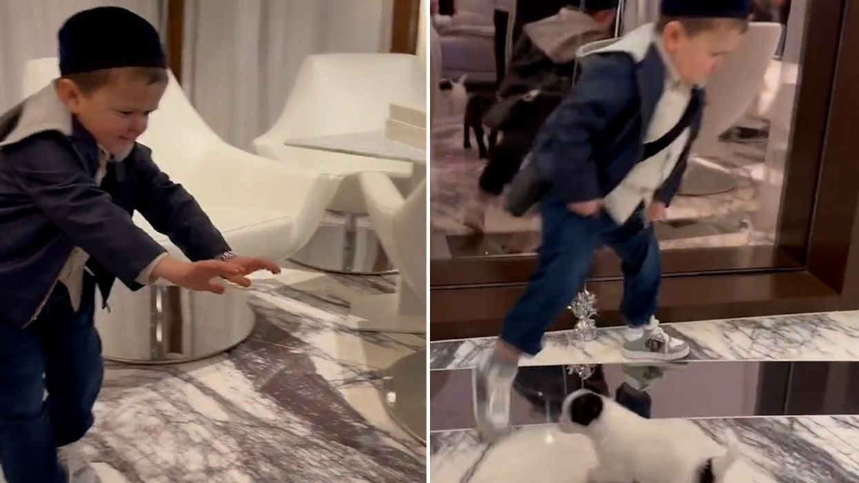 Dana White tried to surprise Hasbulla with puppies - and it didn't go well