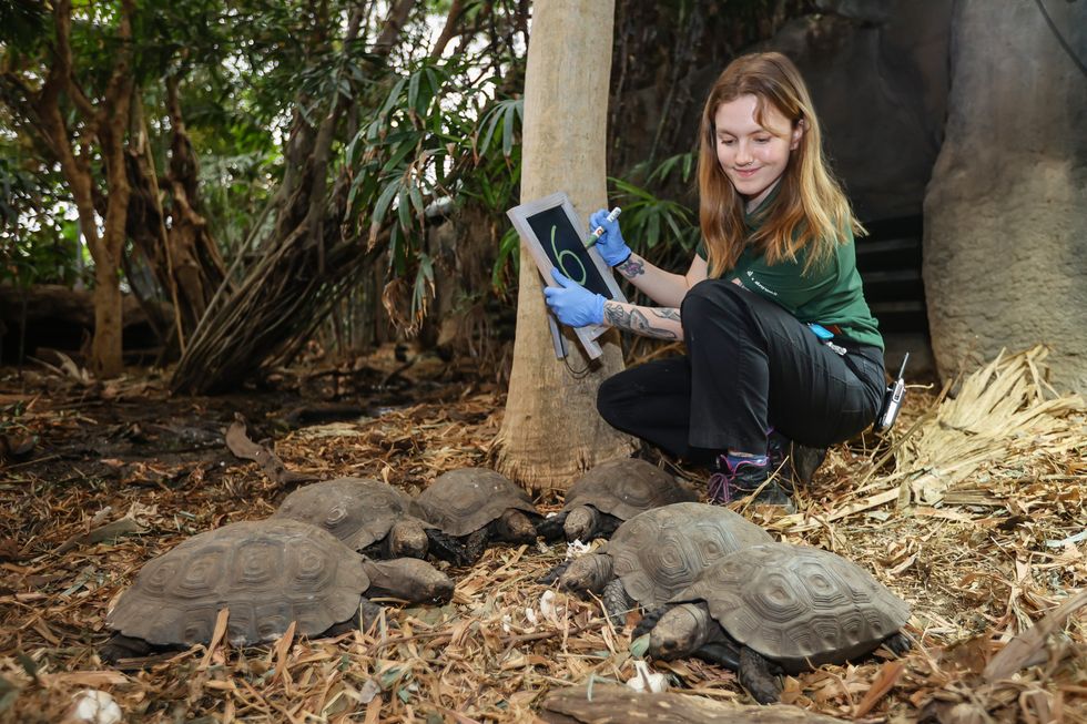 Zoo staff take stock for annual animal audit