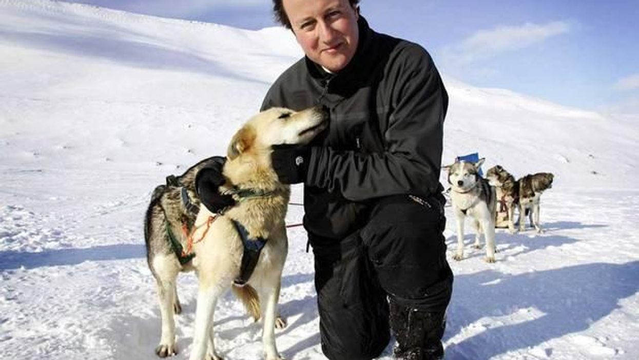 David Cameron of "greenest government ever" fame
