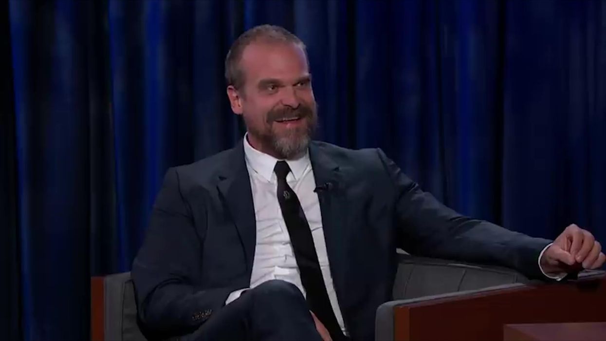 Everyone agrees David Harbour understood the Met Gala assignment