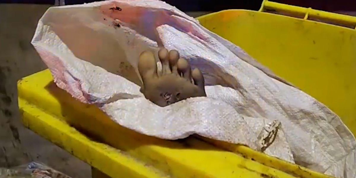 Dead body found in a bin turns out to be a life-sized sex doll Dead body found in a bin turns out to be a life-sized sex doll