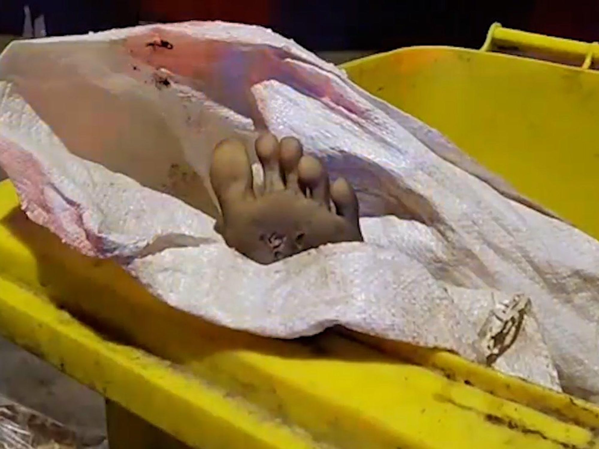 Dead body found in a bin turns out to be a life-sized sex doll Dead body found in a bin turns out to be a life-sized sex doll