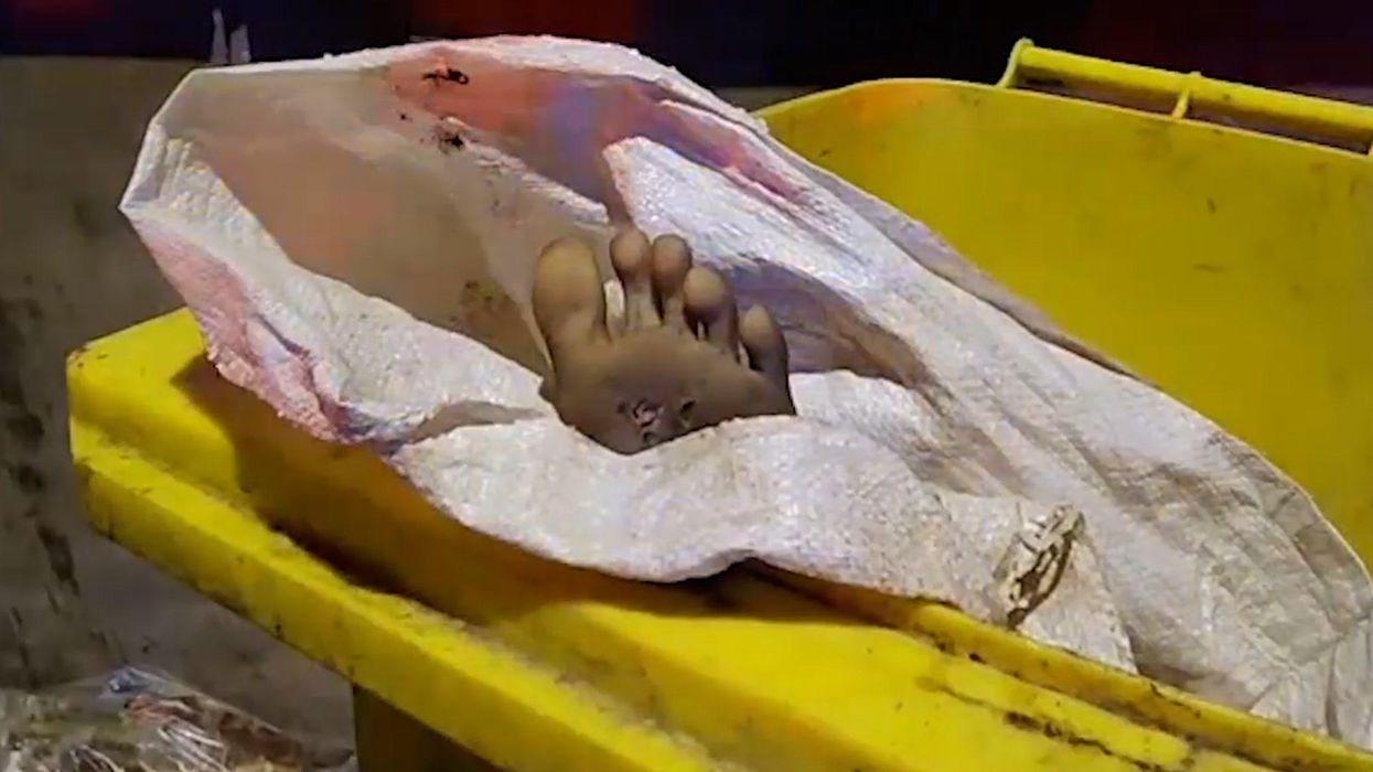 ‘Dead body’ found in a bin turns out to be a life-sized sex doll