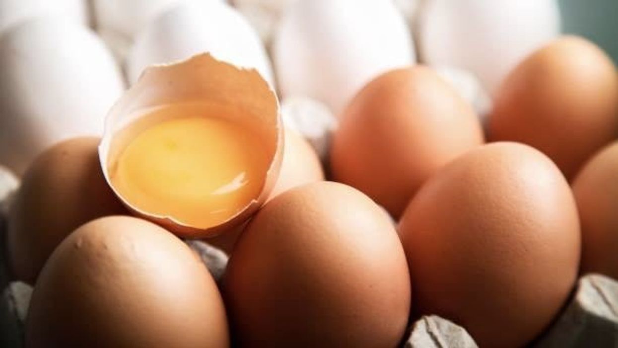 Scientists have finally discovered whether the chicken or the egg came first
