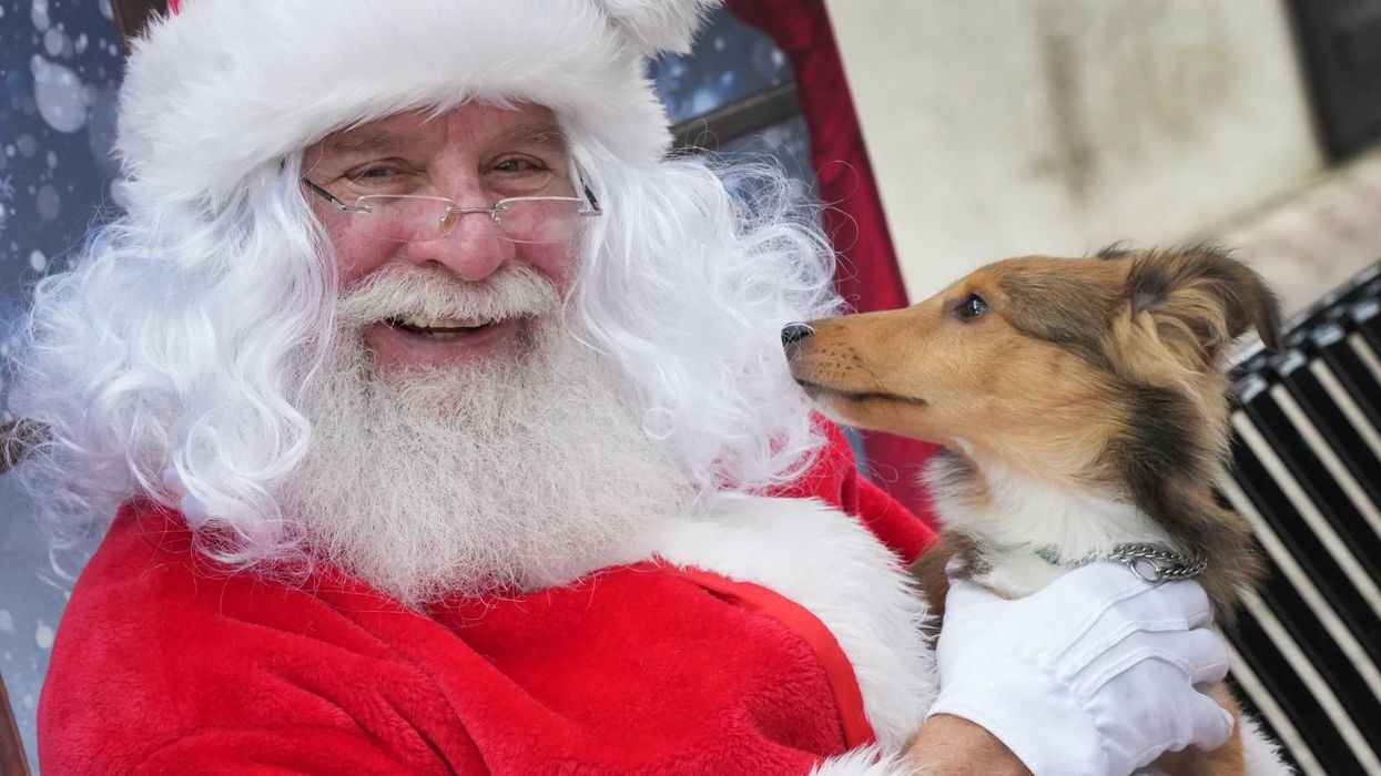 Influencer sparks debate for 'ditching Santa' this Christmas: 'Goofy and foolish overreaction'