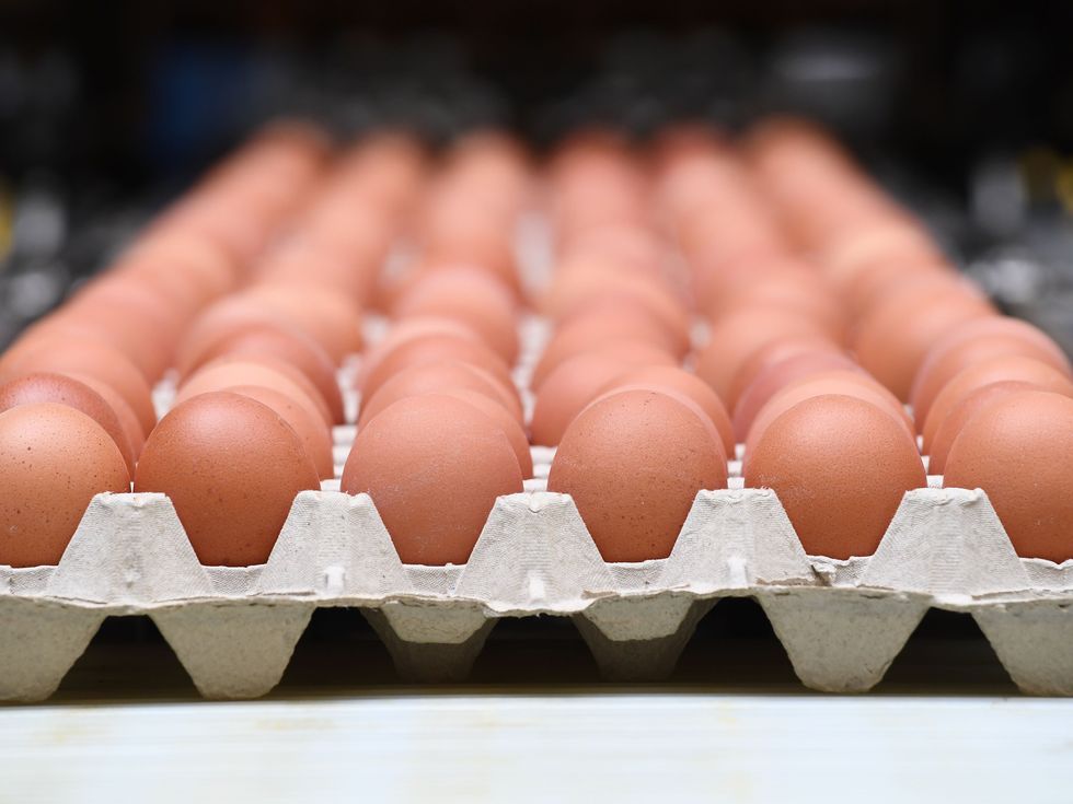 Despite eggs quite literally dividing the nation with a 50/50 vote, they do in-fact belong in the fridge