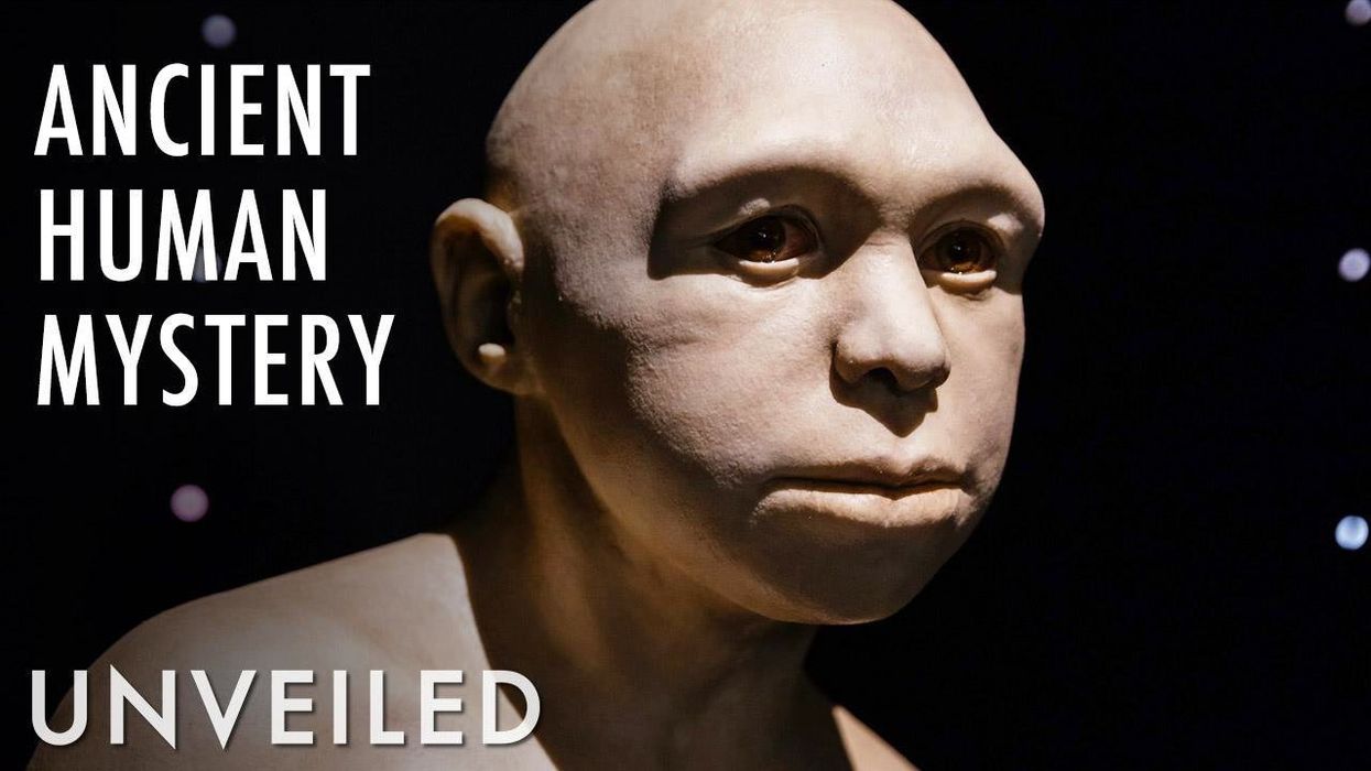 'Disturbing' Hobbit-like humans are alive on an Indonesian island, scientist claims