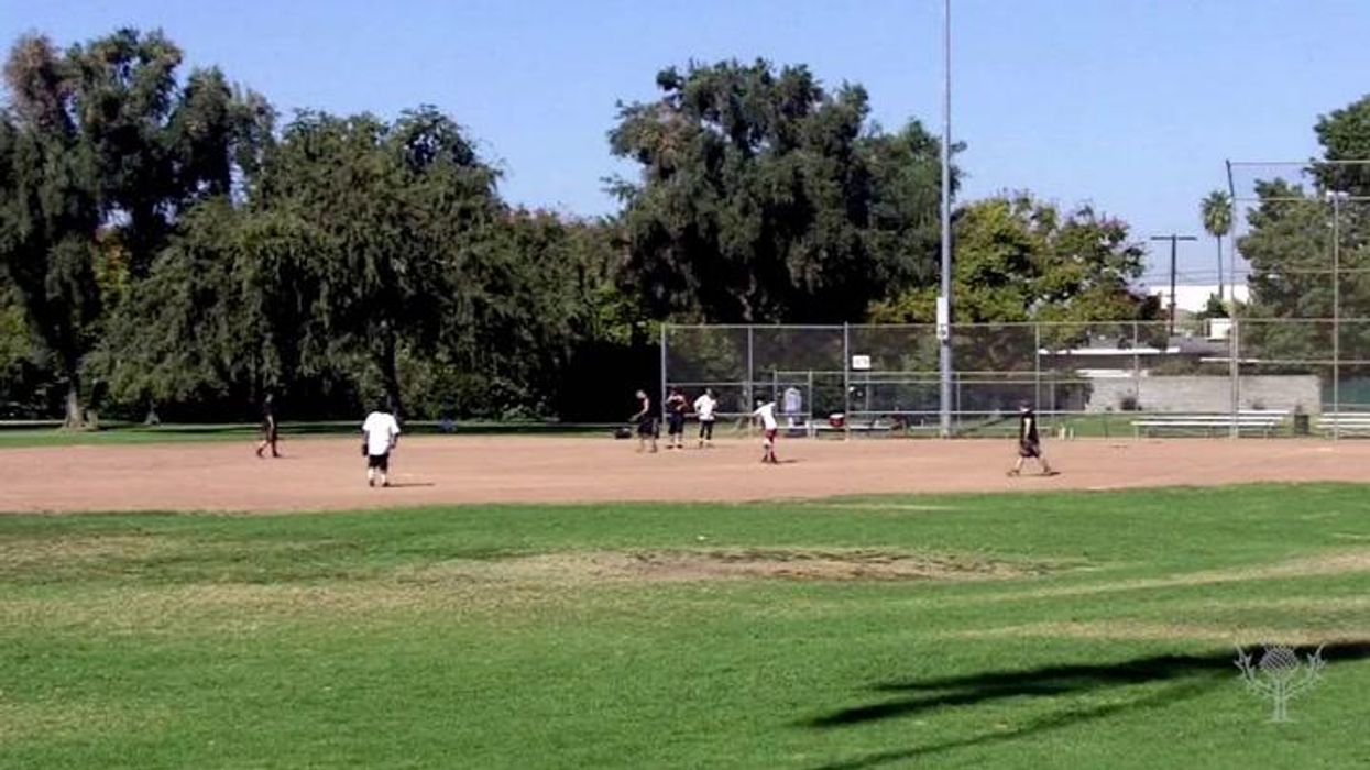Couple 'spotted engaging in sex act at Oakland Athletics game'