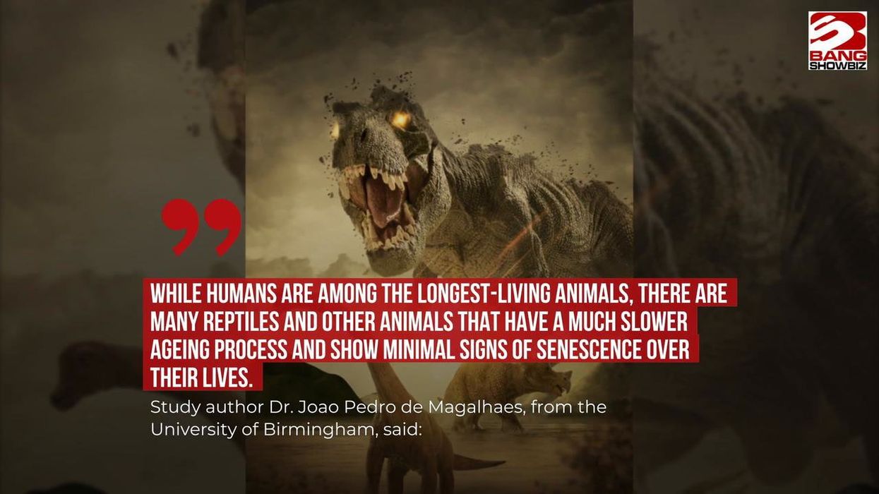Dinosaurs could be the reason why humans age so quickly, scientists say