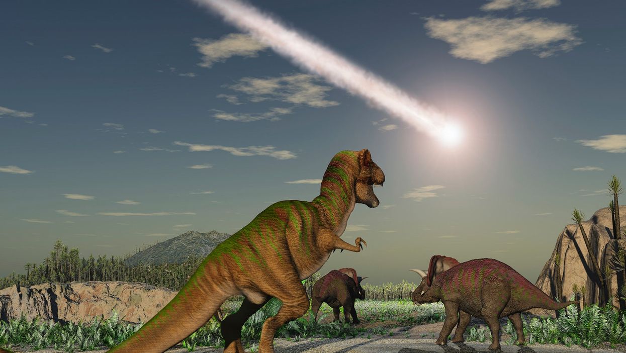 Dinosaurs were wiped out by an asteroid strike 66 million years ago