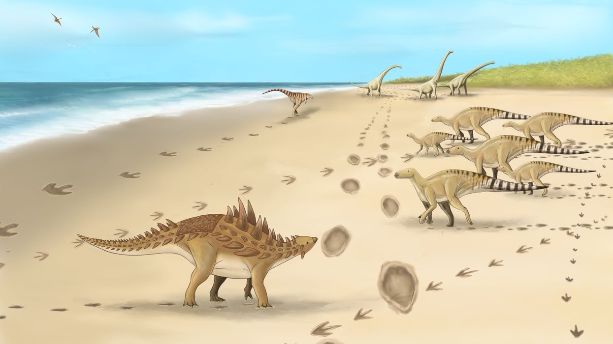 Dinosaurs