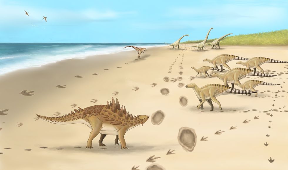 Dinosaurs