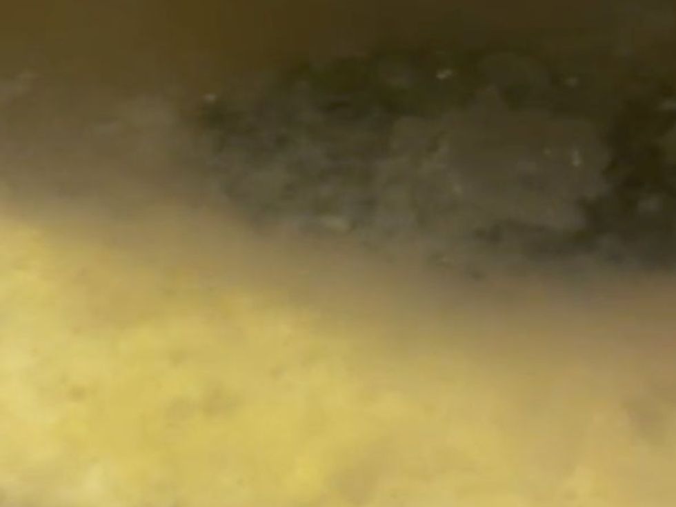 Dirty water in the ice machine.