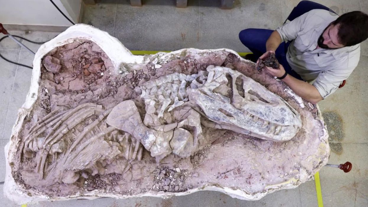 9,000-year-old rock sketches proves early humans knew all about dinosaurs