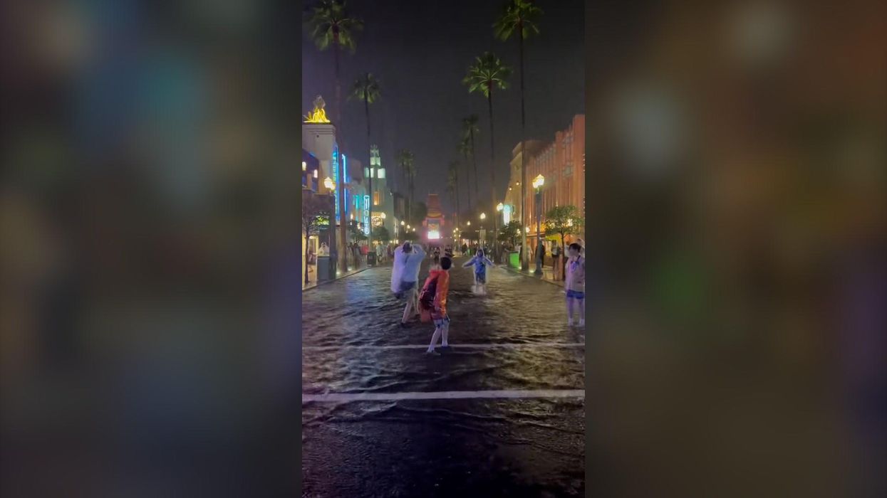 Disney's Hollywood Studios underwater as flooding hits