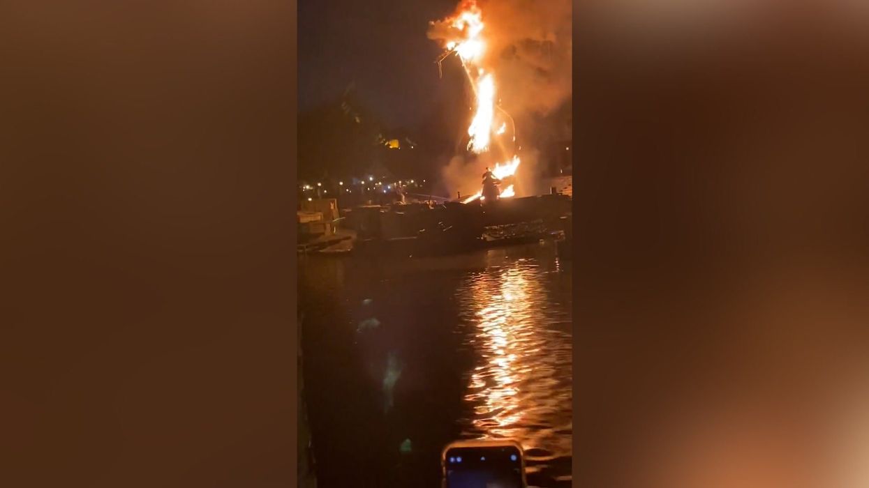 Terrifying moment 45-foot dragon bursts into flames at Disneyland California