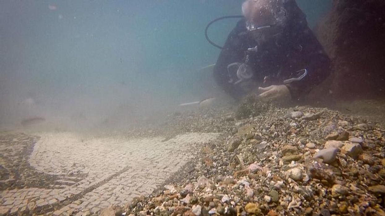 Sausage dogs might have been used in gladiator fights, suggests new discovery